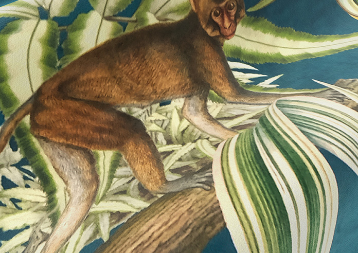 Barbados, Eden - Roman Blind - Image 4